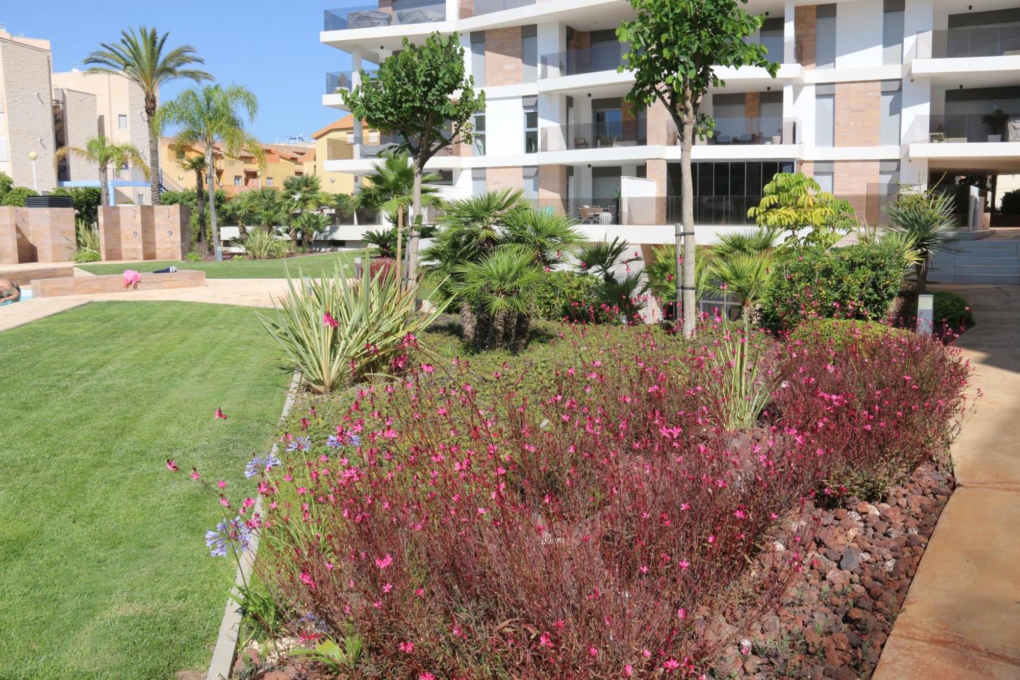 Luxusni Apartman Ve Spanelsku, Cabo Roig オリウエラ エクステリア 写真