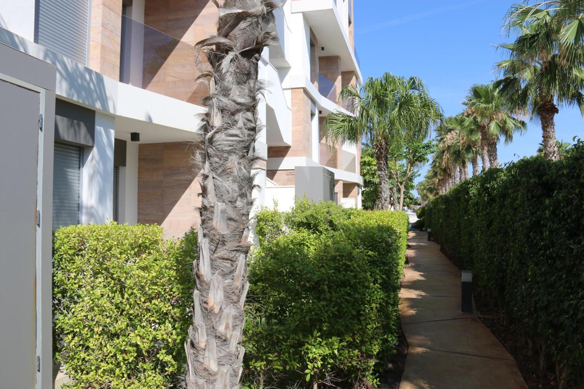 Luxusni Apartman Ve Spanelsku, Cabo Roig オリウエラ エクステリア 写真